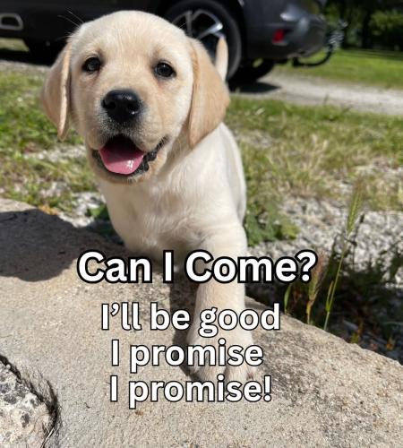 FB_IMG_1744644004129