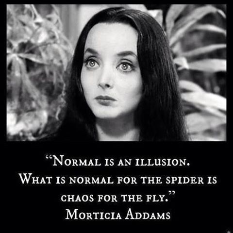 NormalSpiderChaosFly_Morticia