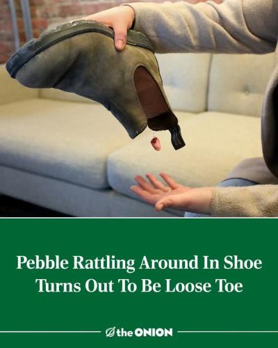 FB_IMG_1744325596718