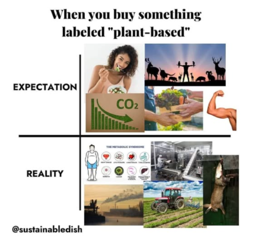 Screenshot 2025-03-30 160730