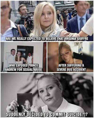 BILLYS BIMBO VIRGINIA