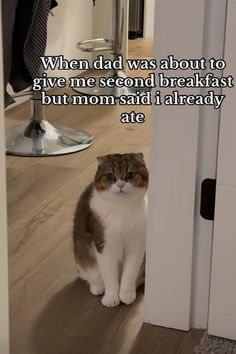 812ac88f8976efb78e7b57b73e0ef934