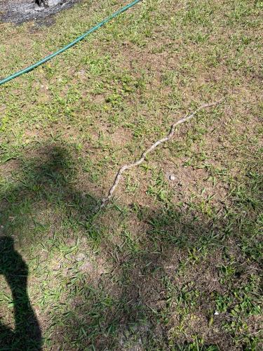 F77B4995-A21B-4AFB-BD84-77073B004867