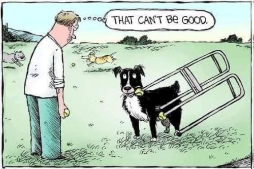 1d955c615d7b940f176a56aadf6e0e71