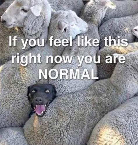 IMG_20250405_195901_988