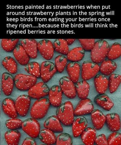 Screenshot_20250419_113738_Gallery