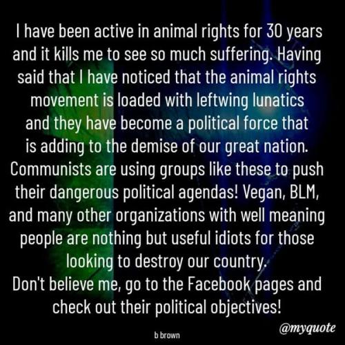 494151733_8886186021485090_3681125817989069393_n