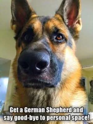 FB_IMG_1744895929990