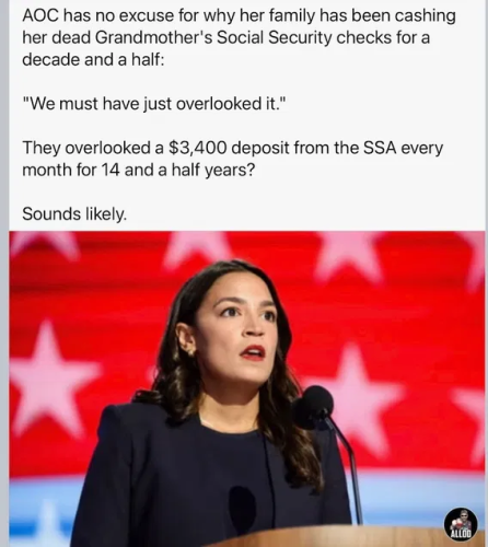 image_2025-04-03_063938519