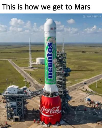 FB_IMG_1743609388792