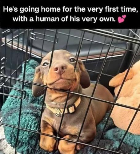 FB_IMG_1745607717468