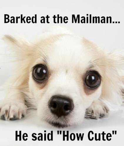 FB_IMG_1744988766680