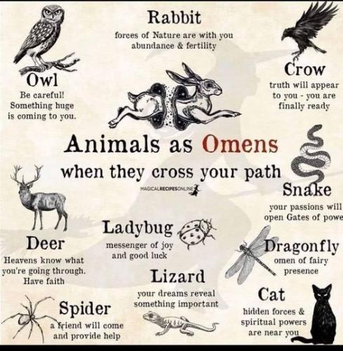 ,                GAkHyqHWIAACt_p