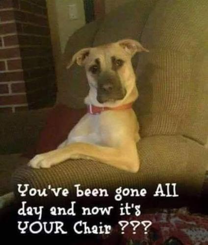 FB_IMG_1744916543477