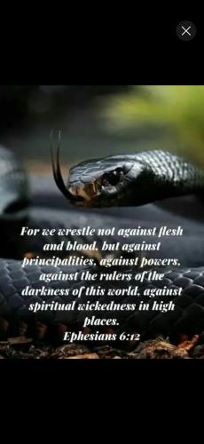 Screenshot_20250419_210902_YouTube