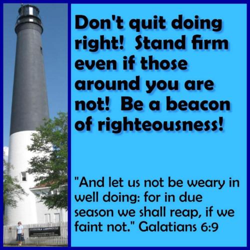 31167158-6128-417e-8801-adec66aeae60