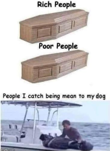 FB_IMG_1744498352517