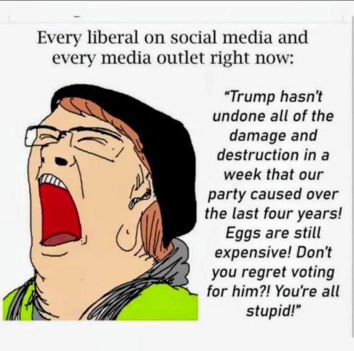 image_FCF8752B-53AB-4232-A9E7-F0908F95DF36