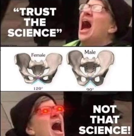 FB_IMG_1740581300775