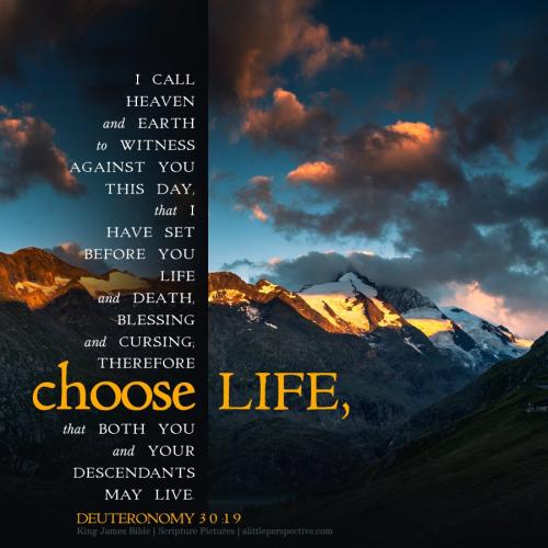 deu-30-19-KJV-unsplash
