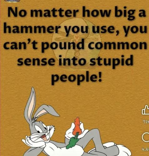 IMG_20250412_054743_209