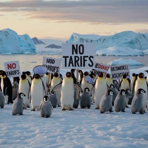 FB_IMG_1743880168968