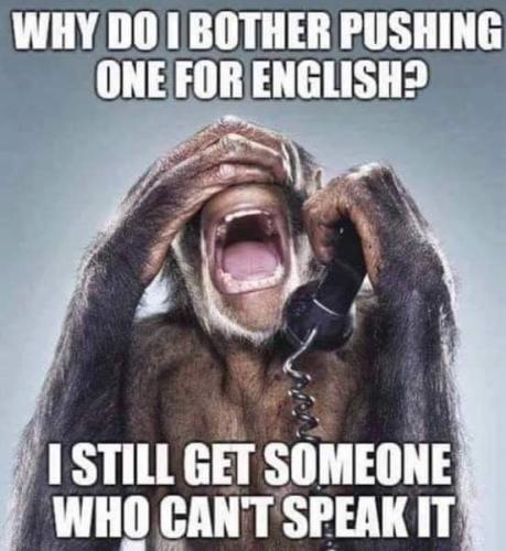 FB_IMG_1554943444753