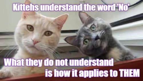 e19e143d6b1f8559af93f2c95c2f5ff0