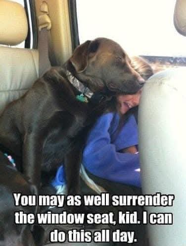 FB_IMG_1744214904952