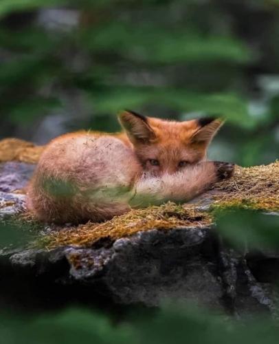 20250331_171138