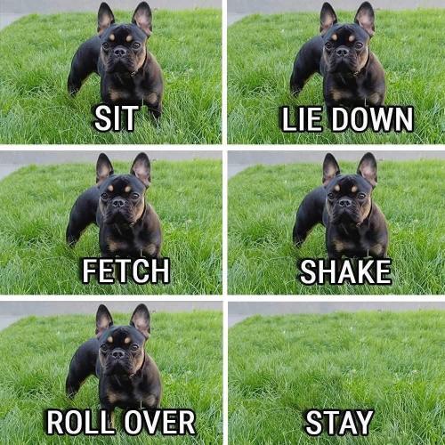 FB_IMG_1745278783699