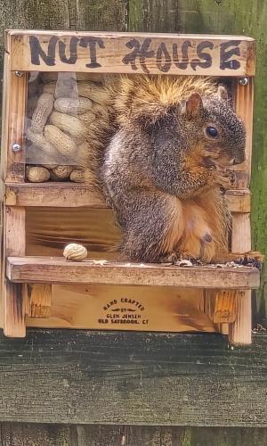 FB_IMG_1745945106331