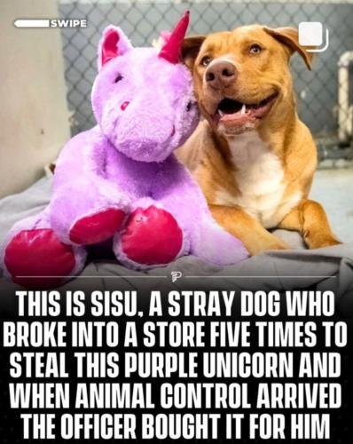 19:21:32 GMT-0500 (CDT)