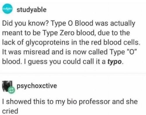 image_6D2D407A-409E-4247-9938-3E80DA0812ED