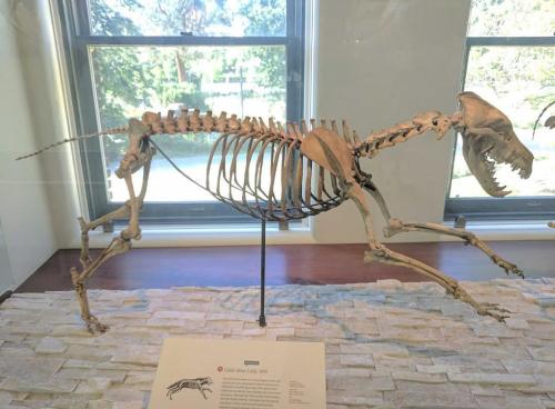 3d009729-6fe1-4850-8d8d-21fe5d0528e5