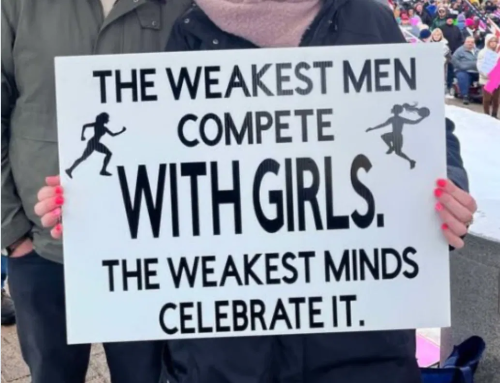 image_2025-04-03_063555409