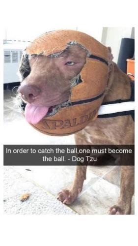 FB_IMG_1744390203533