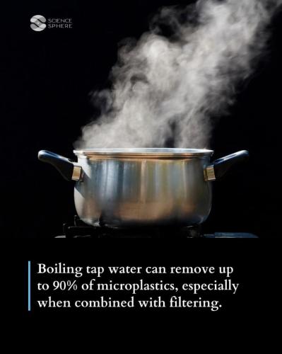 4629f0ff-5a9a-4e8a-8627-ee8692d4a9c5