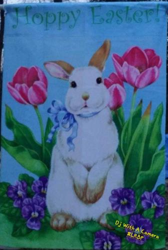 Screenshot_20250412_070351_Gallery