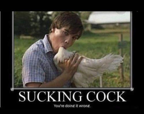 image_4DAA7632-12E9-479F-8FF1-E149ABFB2150