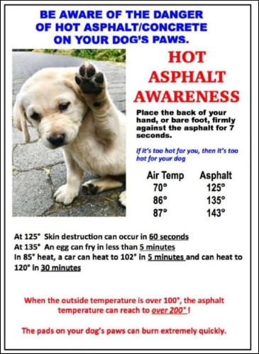 bed29ee105abe5791b6bf3bf510b3da5