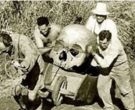 Image 29-03-2024 at 23.02