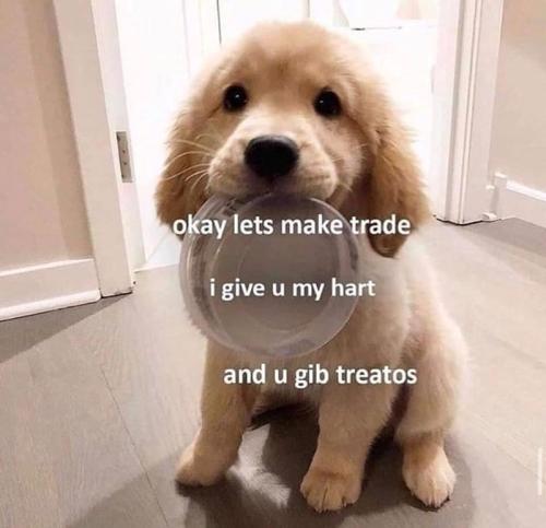 okay-lets-make-trade-give-u-my-hart-and-u-gib-treatos