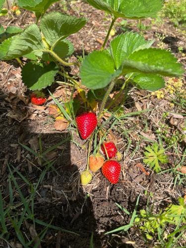 AD213B21-7501-40F1-B02E-5E8ED523B0C5