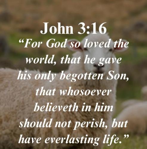 bfddc4e8-a442-46c0-87e3-a51fd2459219