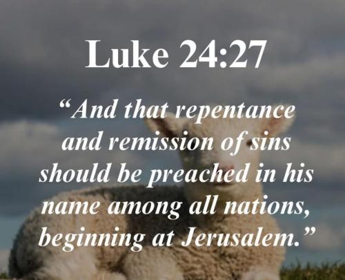 d25025d9-dde6-4bc6-b0ca-38e65a053322