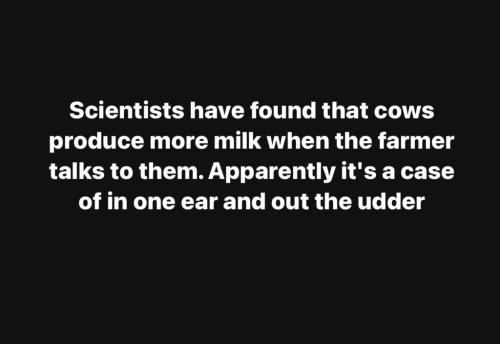 81D04DC2-42BE-4D00-872D-96322E4819A6