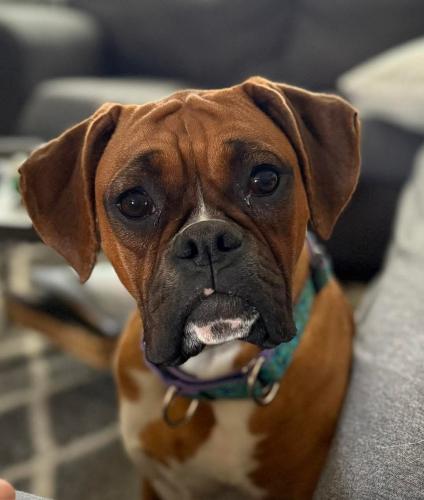 FB_IMG_1743539157633