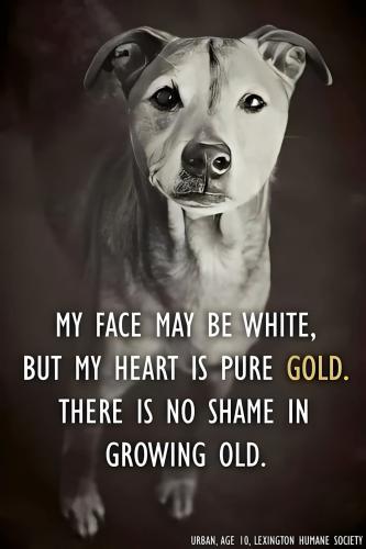 FB_IMG_1745608951482