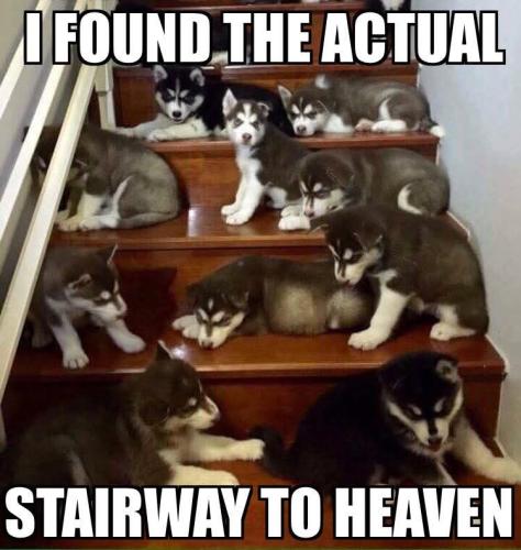 FB_IMG_1744405553211